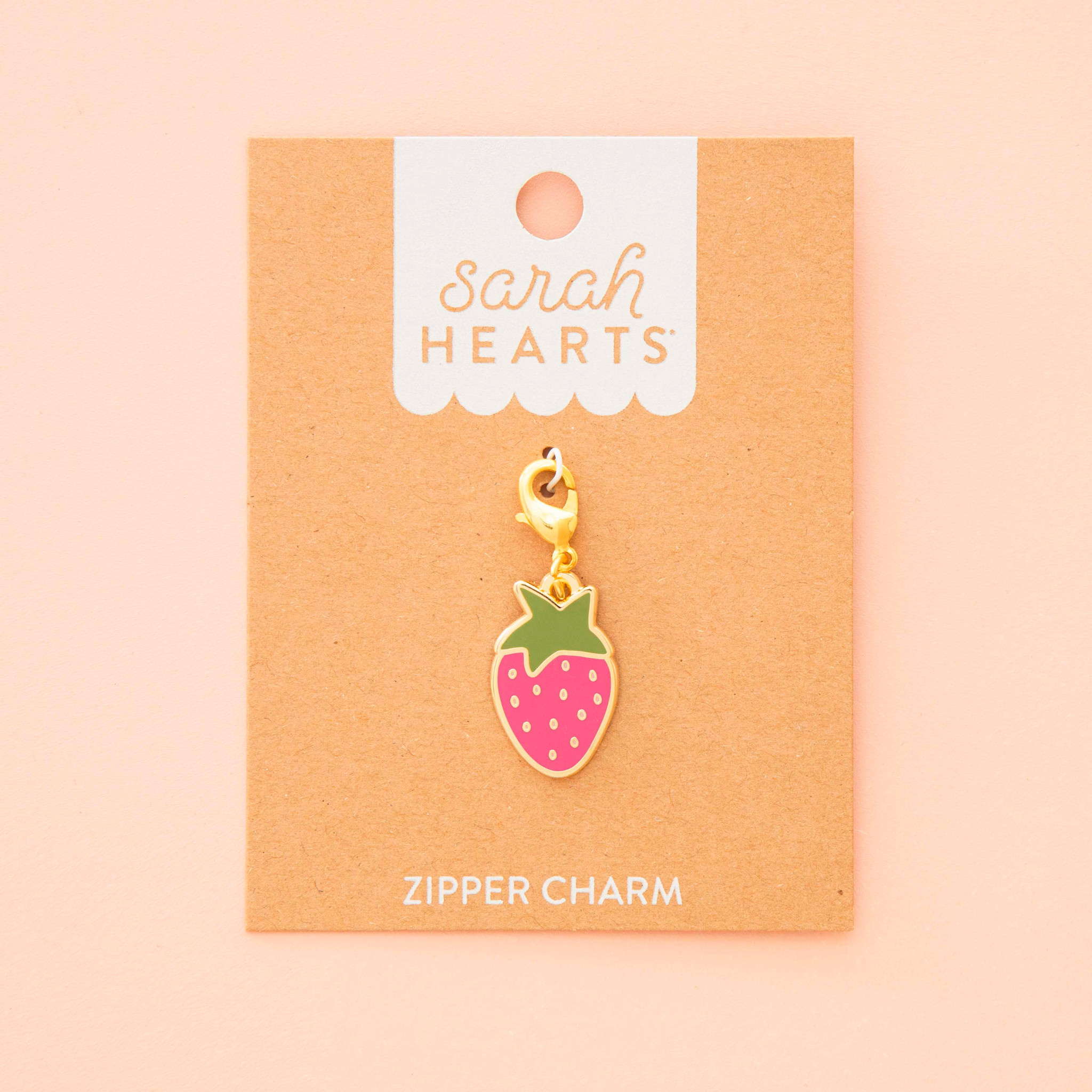 Progress Keeper/Zipper Charm