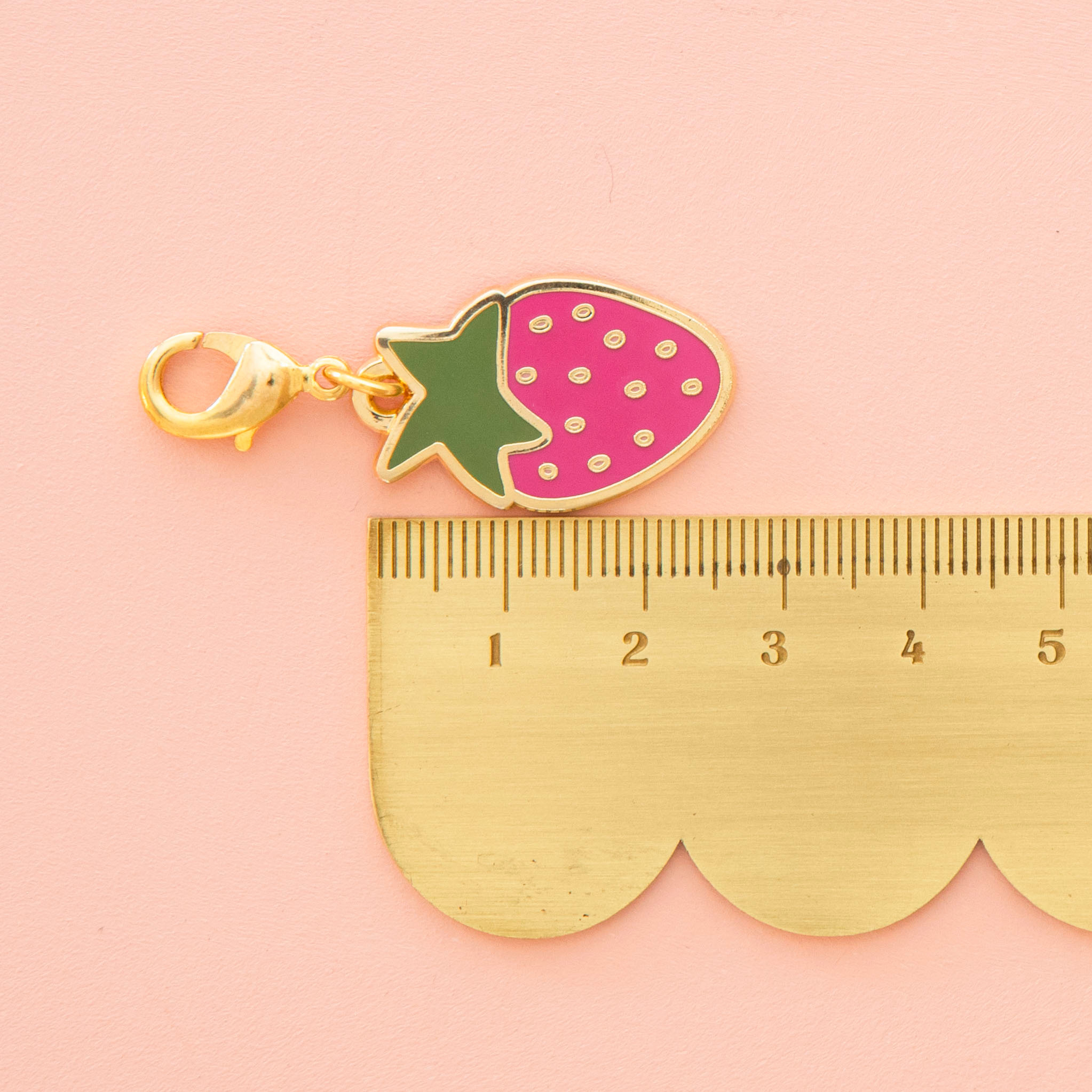 Progress Keeper/Zipper Charm
