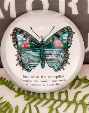 Sugarboo Designs Sugarboo Butterfly Paperweight