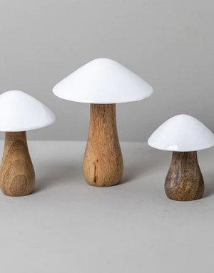 Be-Home Mango Wood & Enamel Mushrooms