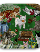 Avenida Home Avenida "Les Chats" Birchwood Tray