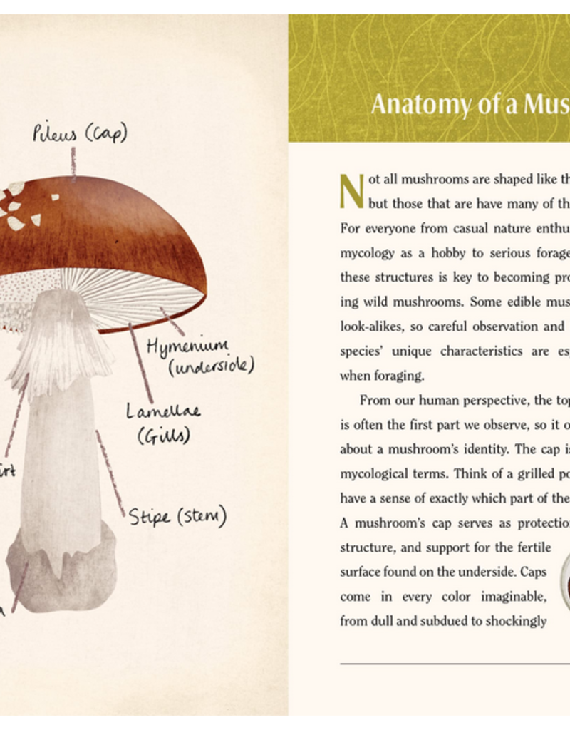 Hachette Book Group This is a Book for People Who Love Mushrooms