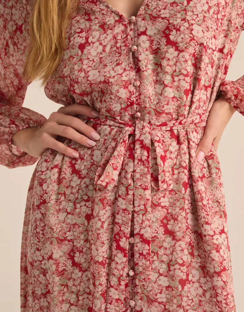 Z Supply Z Supply Della Floral Maxi Dress