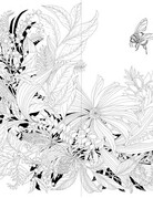 Abrams-Stewart Tabori Leila Duly's Walk in the Woods COLORING BOOK