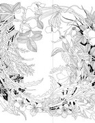 Abrams-Stewart Tabori Leila Duly's Walk in the Woods COLORING BOOK