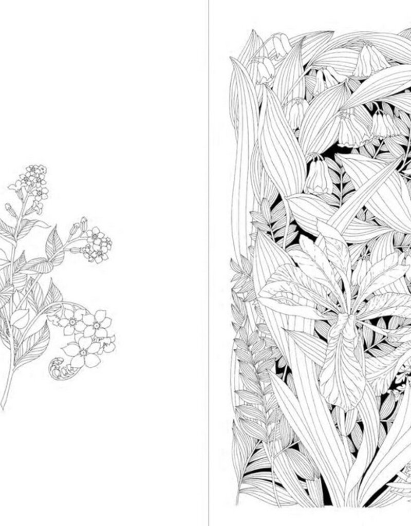 Abrams-Stewart Tabori Leila Duly's Walk in the Woods COLORING BOOK