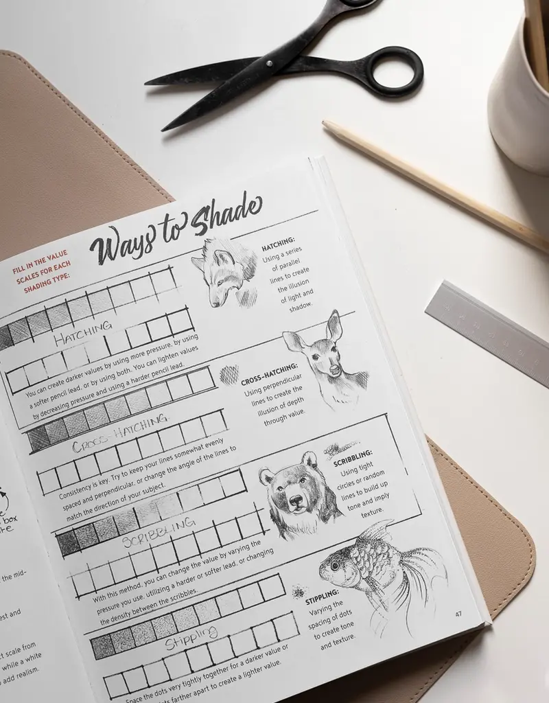 Paige Tate & Co The Artist's Drawing Book