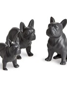 Napa Home & Garden Napa Three Dog Night - Set of 3