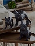 Napa Home & Garden Napa Three Dog Night - Set of 3