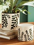 Napa Home & Garden Napa Maren Pot/Planter