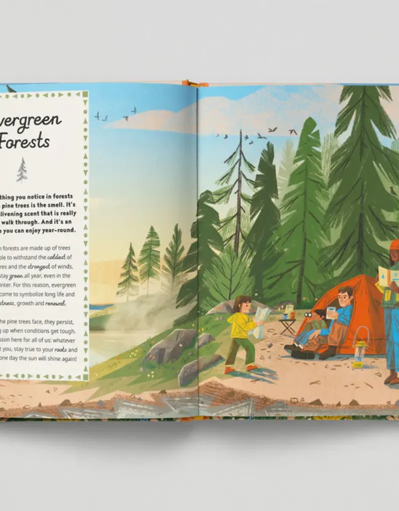 Abrams-Stewart Tabori Hike It - An Introduction to Hiking, Camping & Backpacking Through the U.S.
