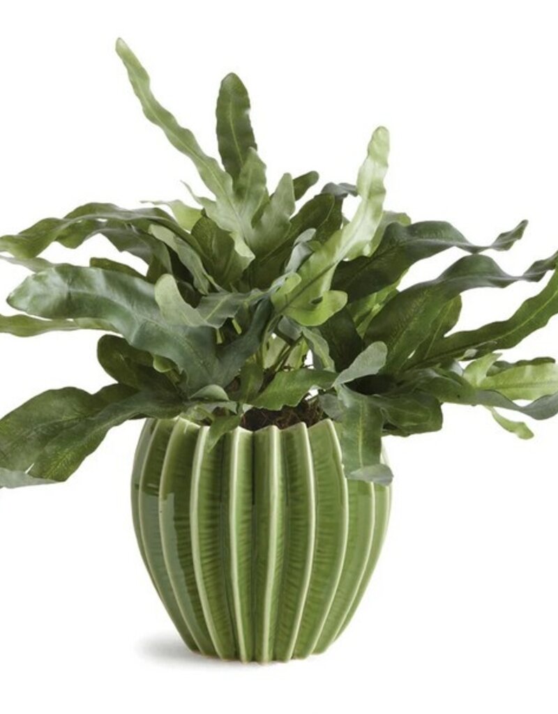 Napa Home & Garden Napa Home & Garden Nikko Pot