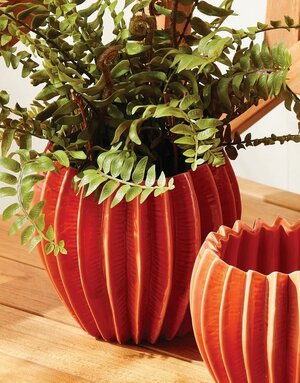 Napa Home & Garden Napa Nikko Pot