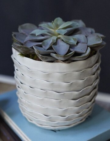 Accent Decor Artsi Pot