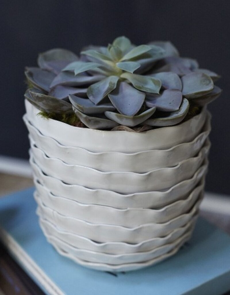 Accent Decor Artsi Pot