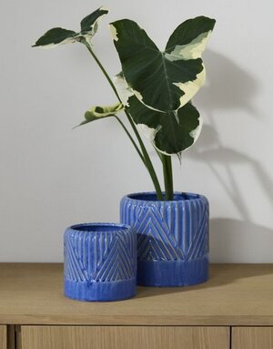 Accent Decor Refresh Pot