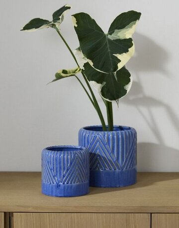 Accent Decor Refresh Pot