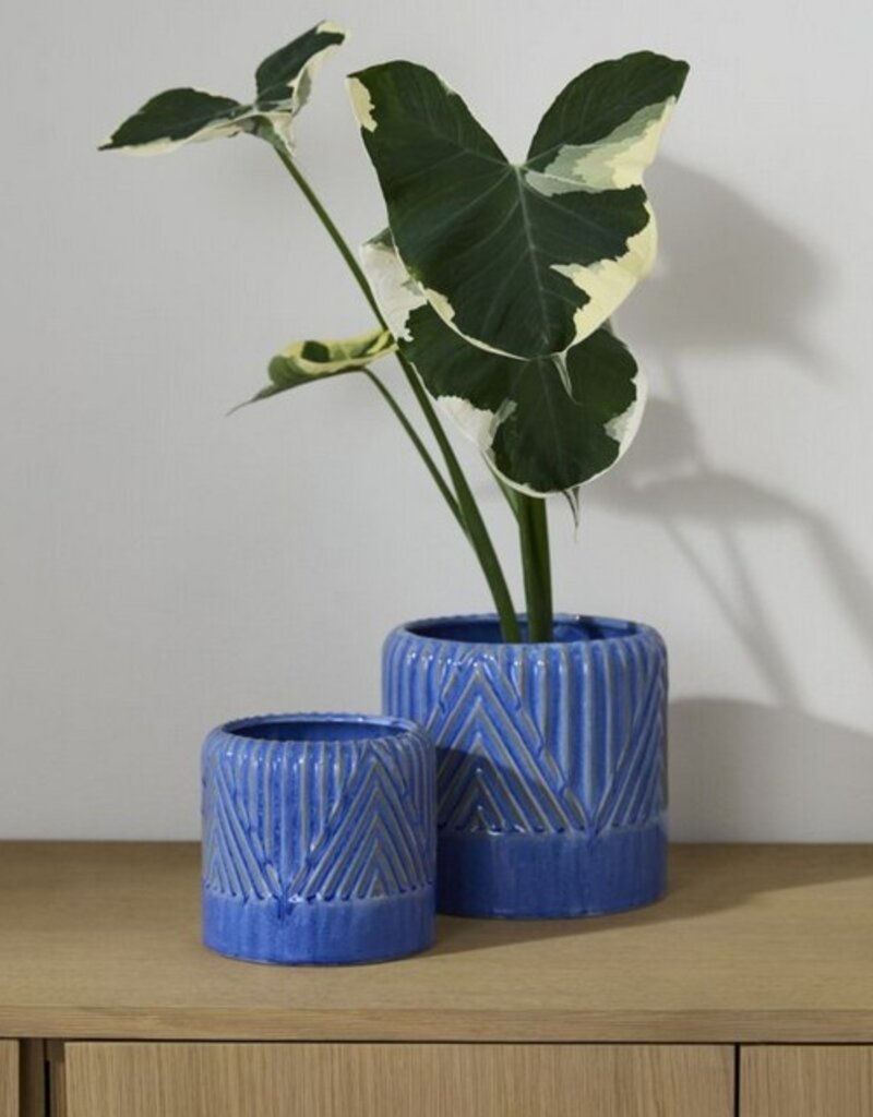 Accent Decor Refresh Pot