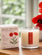 KOBO Candles KOBO Plant the Box Candle