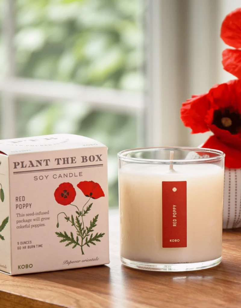 KOBO Candles KOBO Plant the Box Candle
