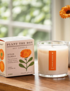 KOBO Candles KOBO Plant the Box Candle