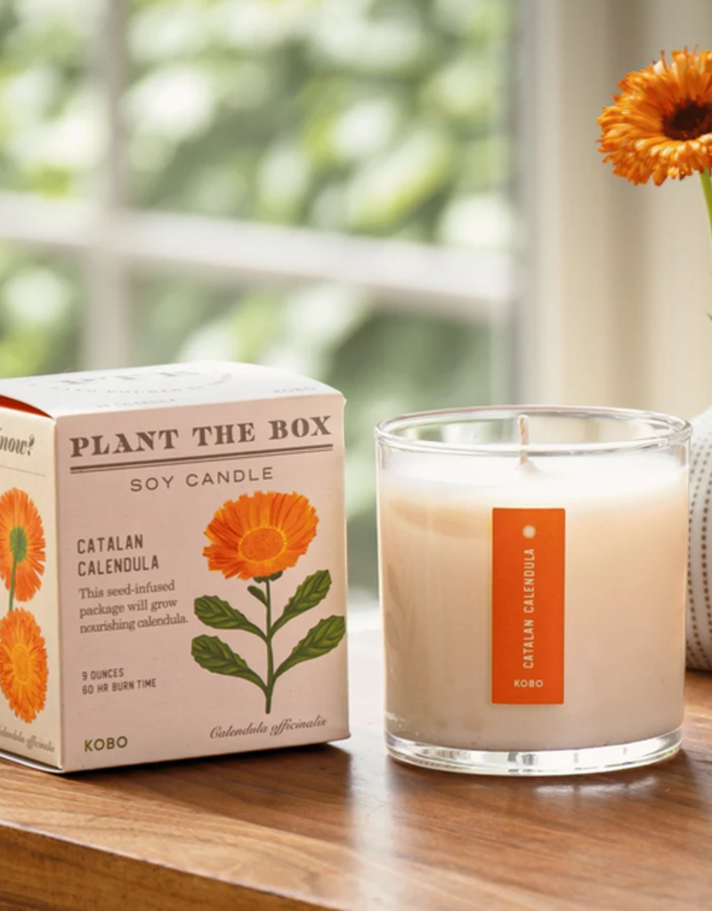 KOBO Candles KOBO Plant the Box Candle