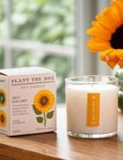 KOBO Candles KOBO Plant the Box Candle