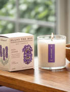 KOBO Candles KOBO Plant the Box Candle