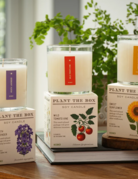 KOBO Candles KOBO Plant the Box Candle