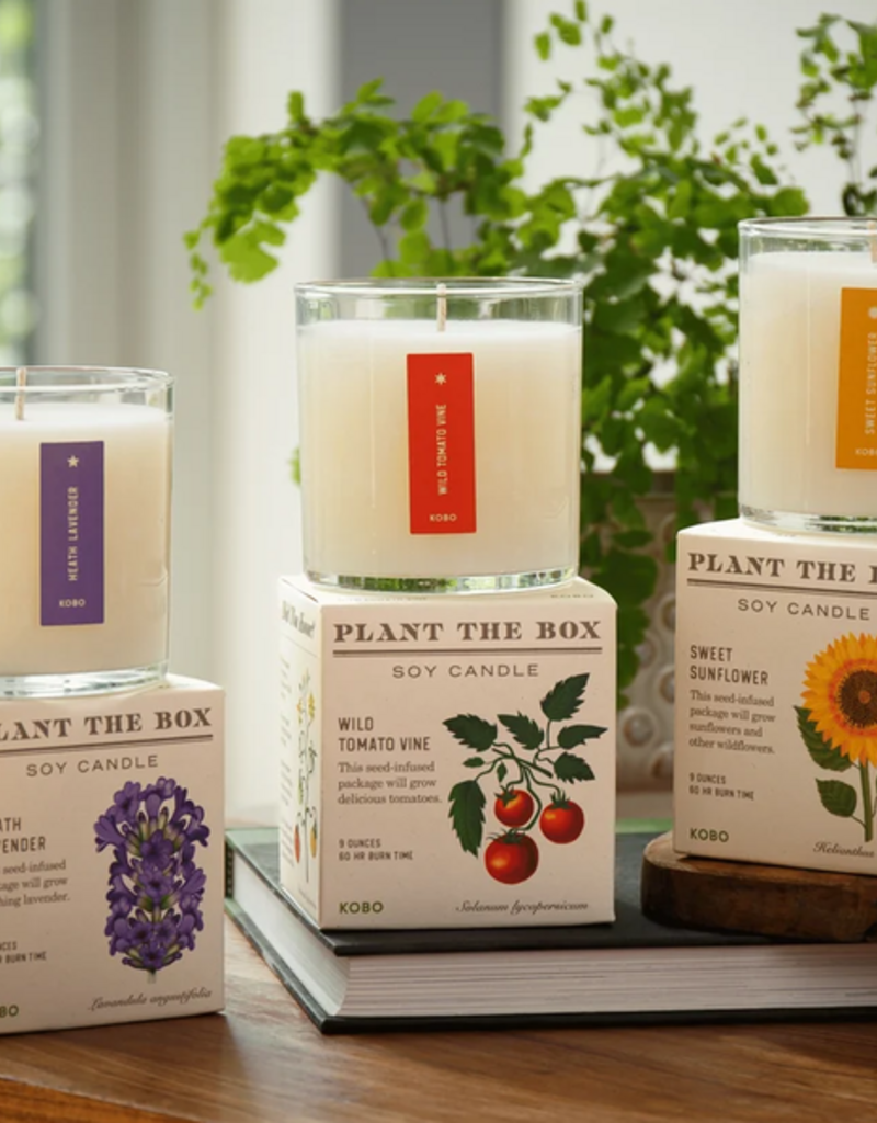 KOBO Candles KOBO Plant the Box Candle