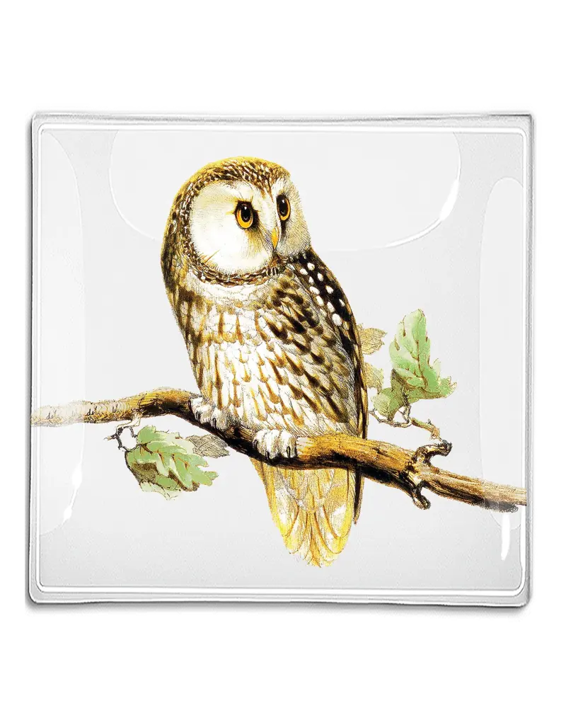 Ben's Garden Sweet Owl Decoupage Glass Tray