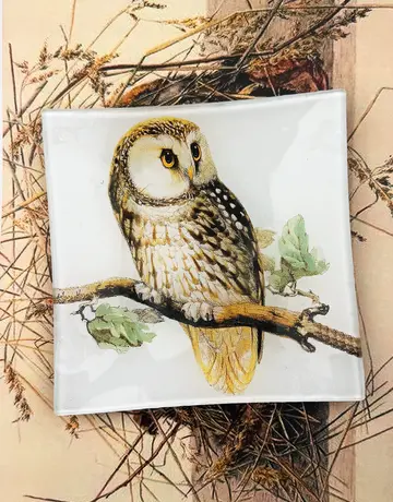 Ben's Garden Sweet Owl Decoupage Glass Tray