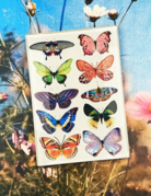 Ben's Garden Wildflower Butterflies Decoupage Glass Tray