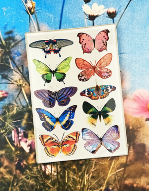Ben's Garden Wildflower Butterflies Decoupage Glass Tray
