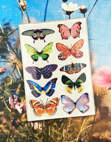 Ben's Garden Wildflower Butterflies Decoupage Glass Tray