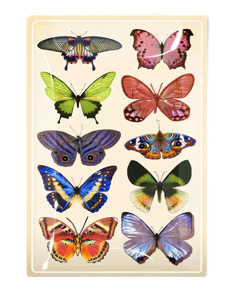 Ben's Garden Wildflower Butterflies Decoupage Glass Tray