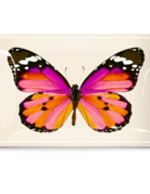 Ben's Garden BG Decoupage Glass Tray - Pink Sardinia Butterfly 3.5x5.5