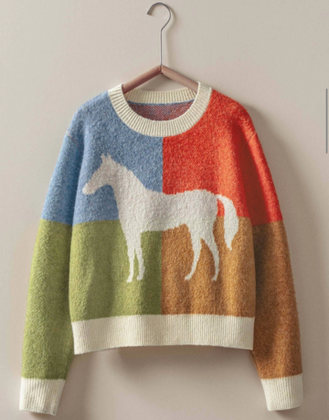 Urban Daizy Daizy Colorblock Horse Sweater