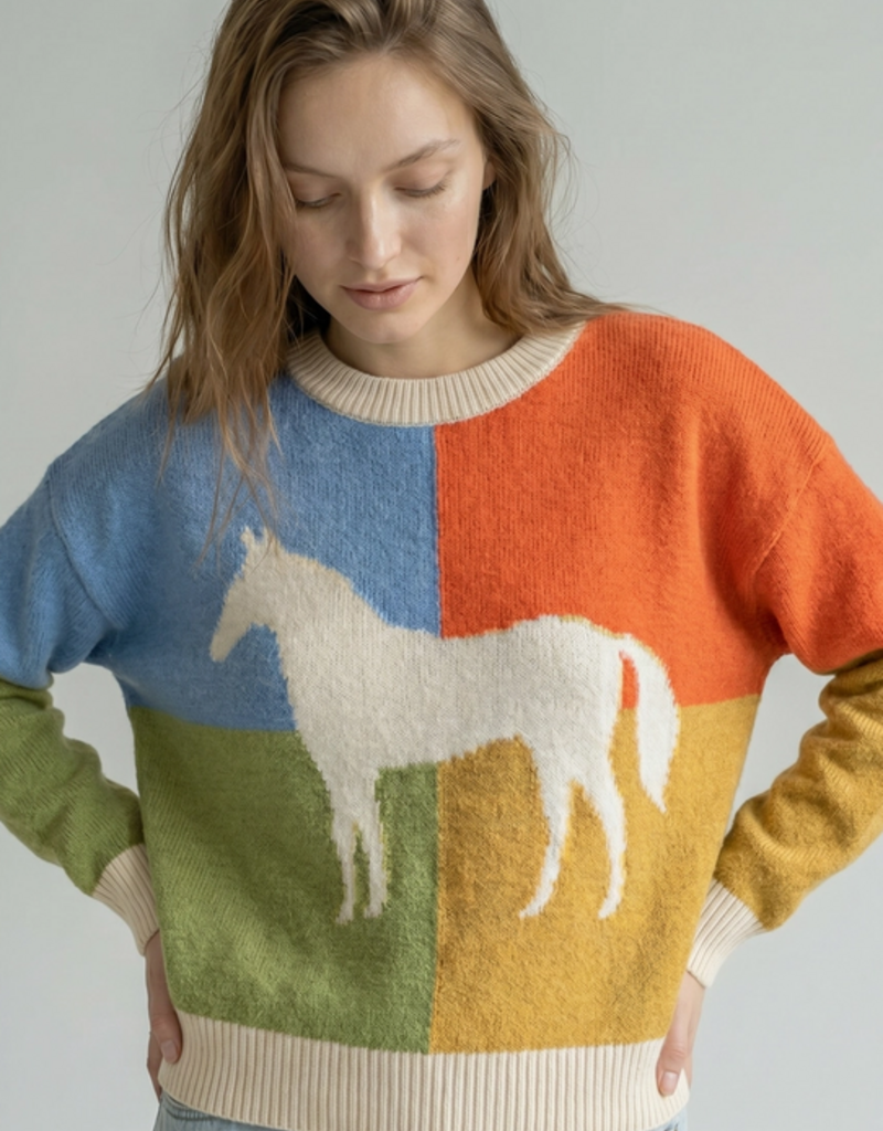 Urban Daizy Daizy Colorblock Horse Sweater