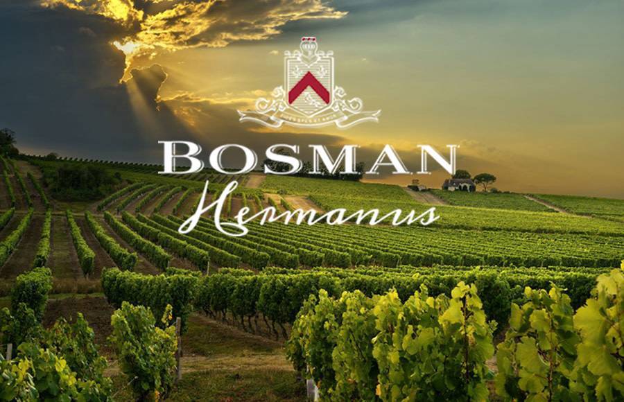 SATURDAY 27 OCT 2018 | Bosman Vineyards & De Bos Handpicked Vineyards South Africa Wine Tasting with Global Sales Manager Angela Jordaan