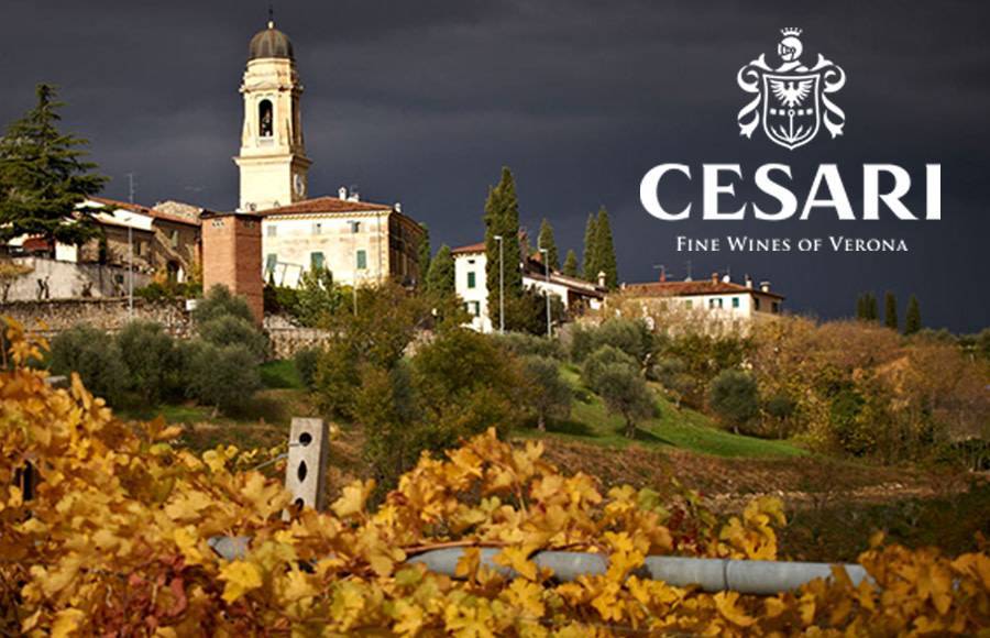 FRIDAY 30 NOV 2018 | Cesari Wine Tasting with Brand Ambassador Iris di Chicco from Valpolicella, Italy 