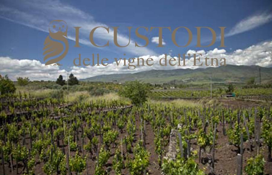 THURSDAY 24 JAN 2019 | Sicily "I Custodi delle vigne dell’Etna" Tasting  Seminar w/Salvo Fonti