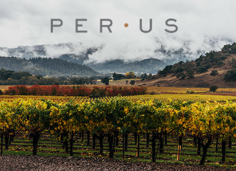 TUE 01 OCT | PerUs Wines | a Napa Valley Tasting | with Katya Kurtbek