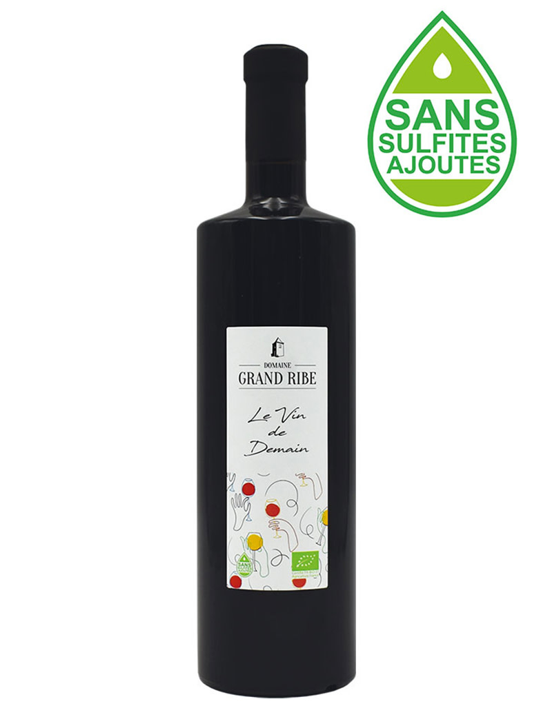 Domaine Grand Ribe 2021 Côte du Rhône Villages Rochegude, Rhône, France