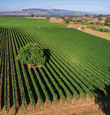 20 NOVEMBER  | Thursday | TADDEI Wines Tasting | 7pm 20 NOVEMBER  | Thursday | TADDEI Wines Tasting | 7pm