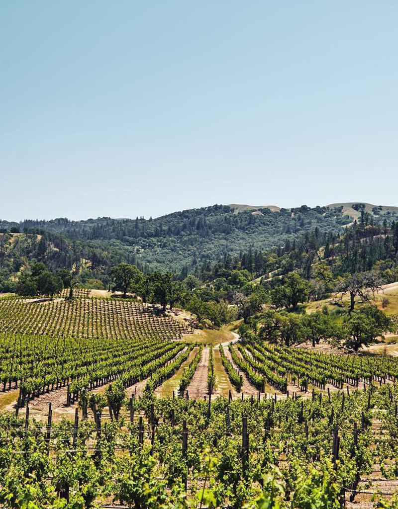 20 NOVEMBER  | Thursday | TADDEI Wines Tasting | 7pm