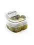 Fresh Pack Castelvetrano Pitted Olives, Italy 4.4oz