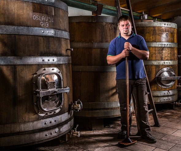 Radikon: History, Family, and Fearless Winemaking in Friuli