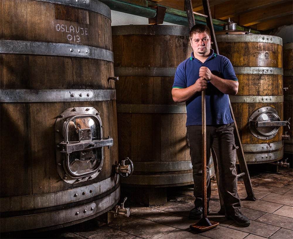 Radikon: History, Family, and Fearless Winemaking in Friuli