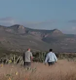 Clase Azul Tequila and Caviar Experience